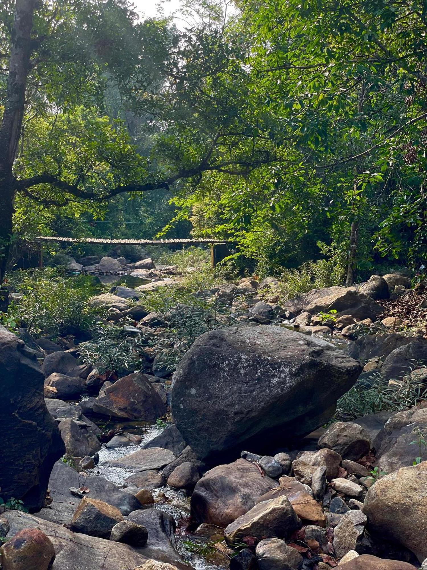 Wetlands Wayanad Pool Resort With Natural Waterfalls Padinjarathara Экстерьер фото