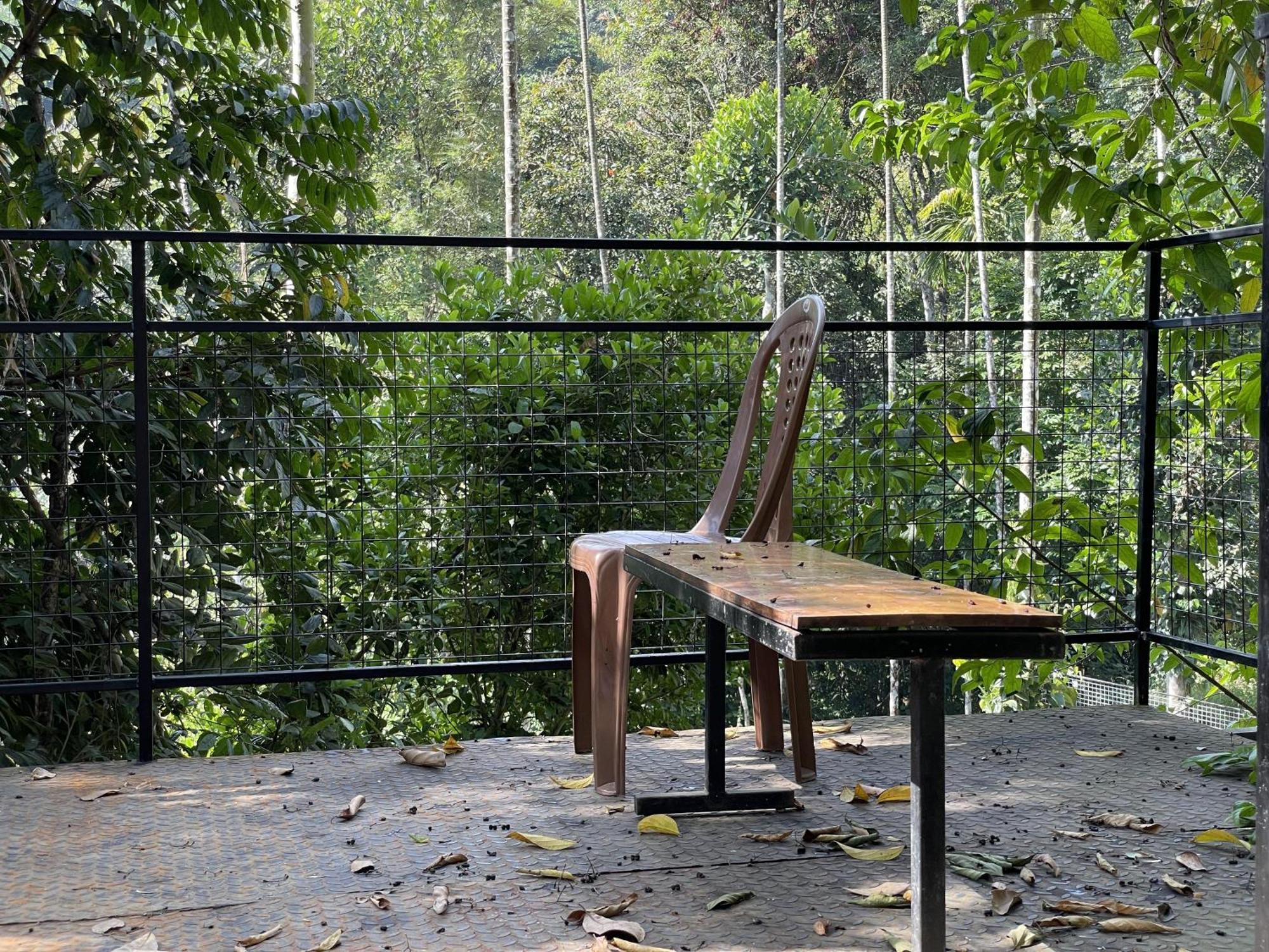 Wetlands Wayanad Pool Resort With Natural Waterfalls Padinjarathara Экстерьер фото